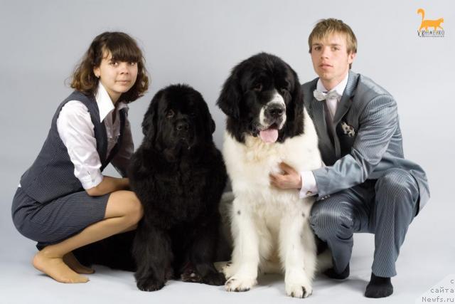 Фотография № 40048