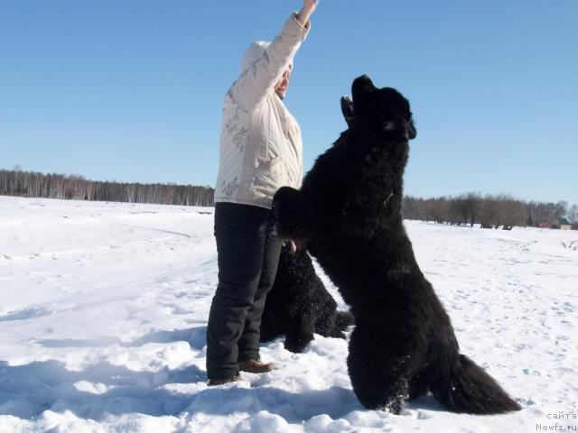 Фото: Наталья Бережнева