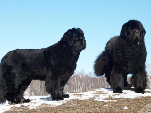 Фотография № 40063