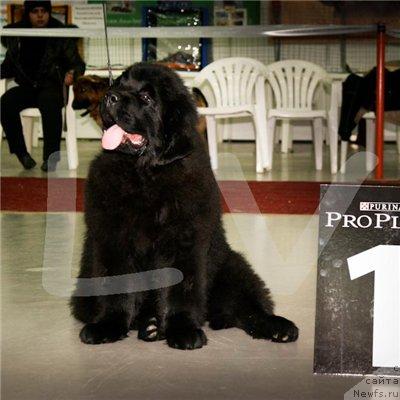 Фотография № 40081