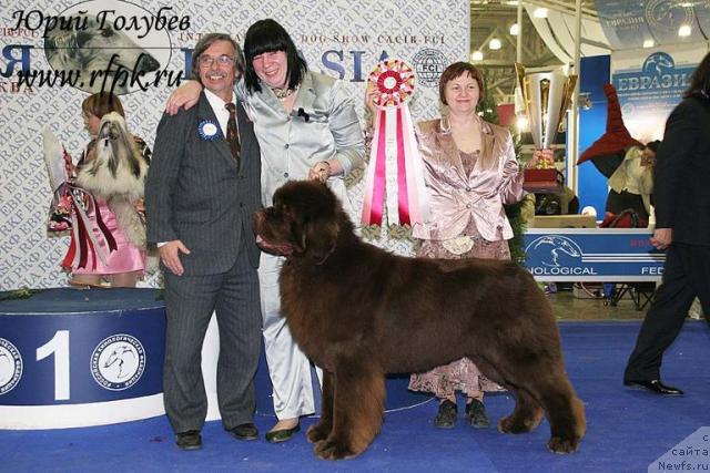 Фото: ньюфаундленд Aetna vom Riesrand, Татьяна Абутова, Тимкина Елена, Karel Horak