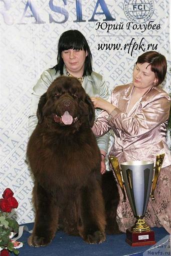 Фотография № 40084