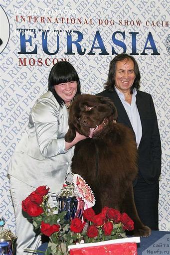 Фотография № 40085