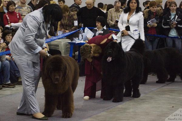 Фотография № 40103