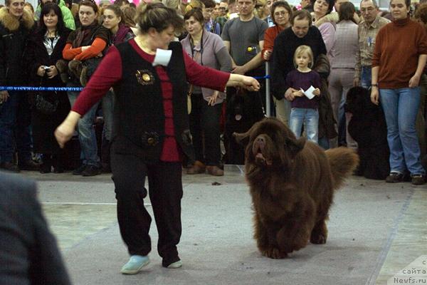 Фотография № 40106