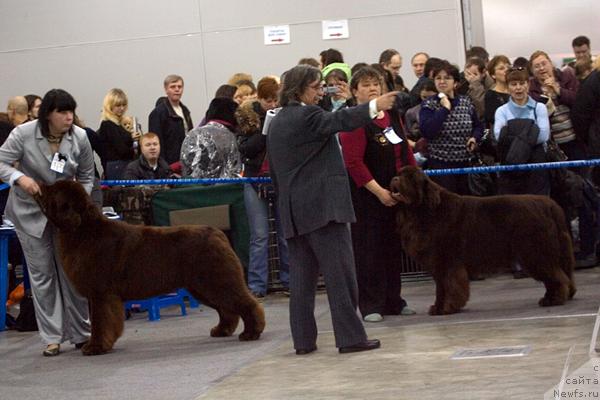 Фотография № 40109