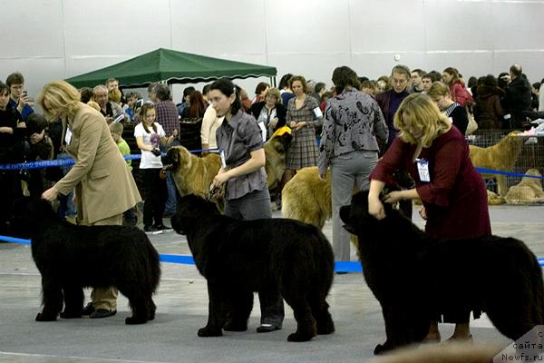 Фотография № 40115