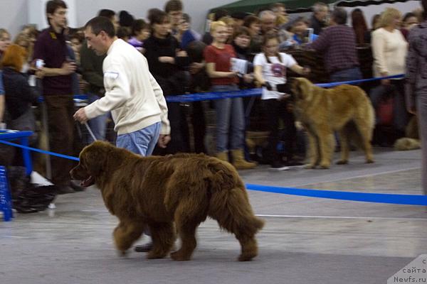 Фотография № 40116