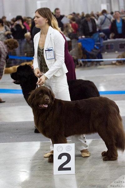 Фотография № 40118