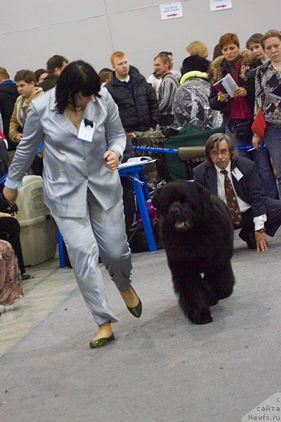 Фотография № 40119