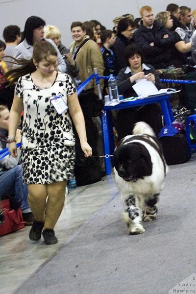 Фотография № 40122