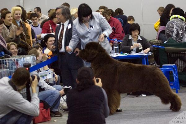 Фотография № 40123