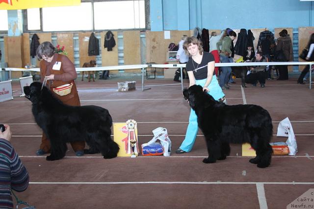 Фотография № 40124