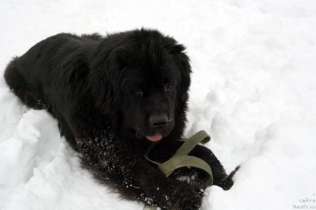 Фотография № 40139