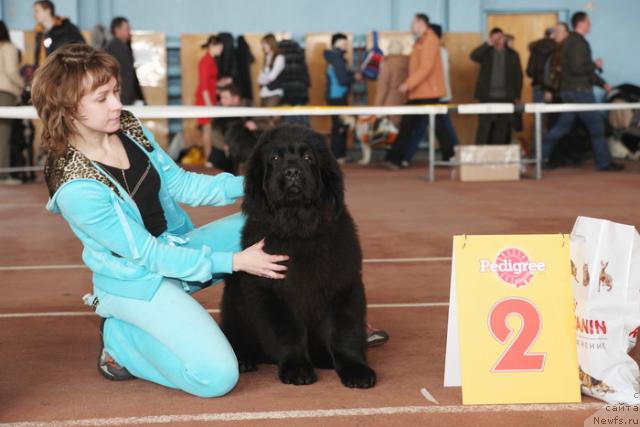 Фотография № 40140