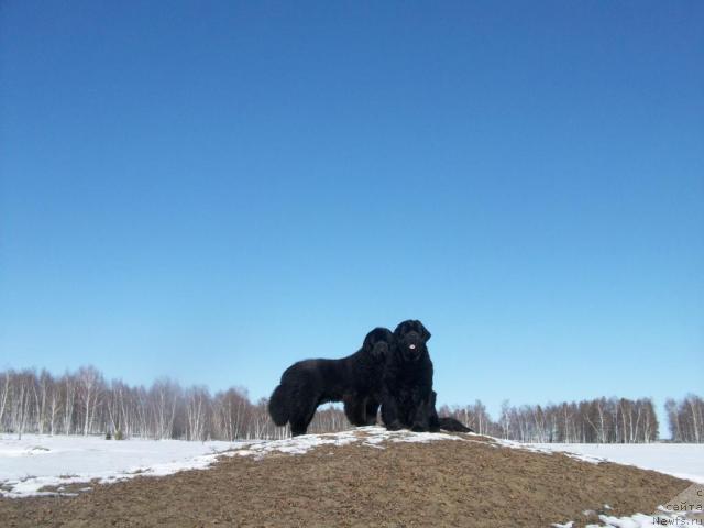 Фото: Наталья Бережнева