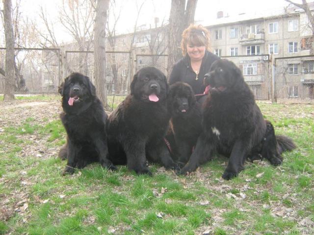 Фотография № 40167