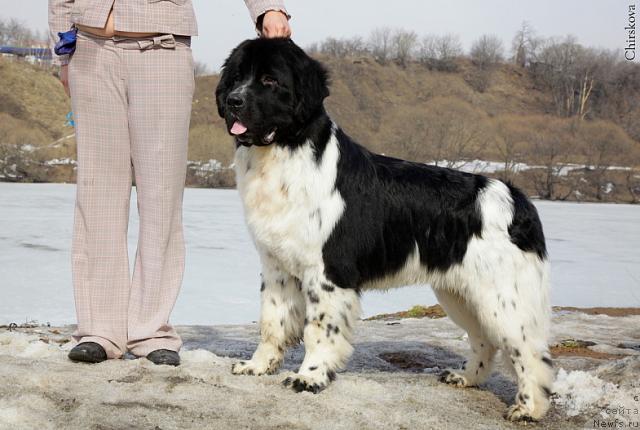 Фотография № 40176