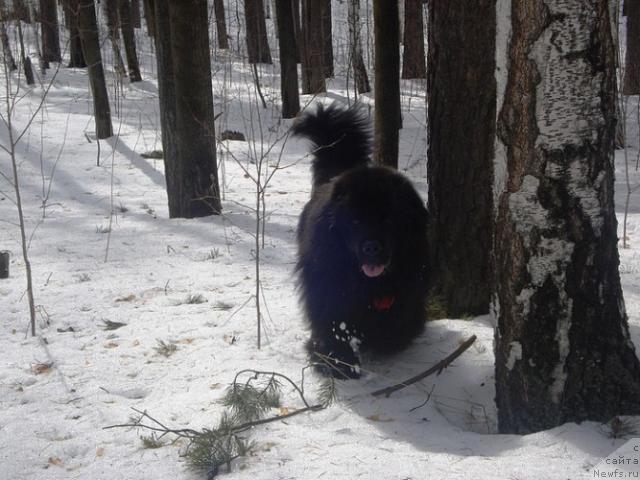 Фотография № 40325