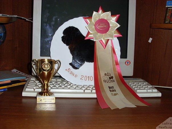 Фотография № 40339