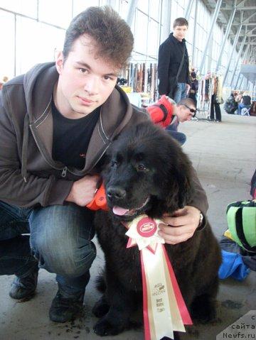 Фотография № 40340