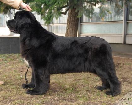 Фотография № 40393