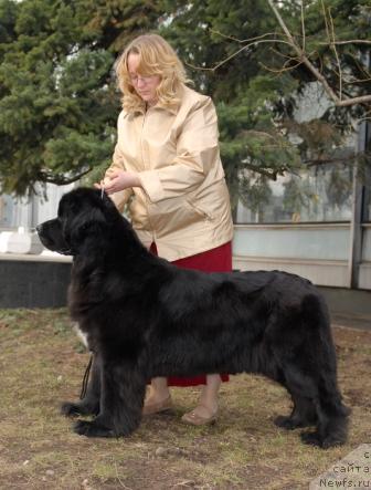 Фотография № 40394