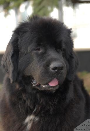 Фотография № 40395