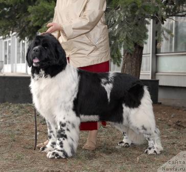 Фотография № 40397