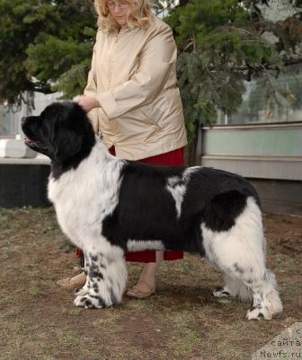 Фотография № 40400