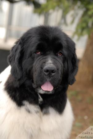 Фотография № 40401