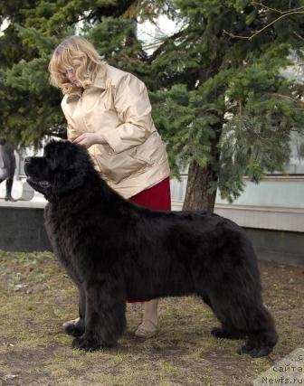 Фотография № 40403