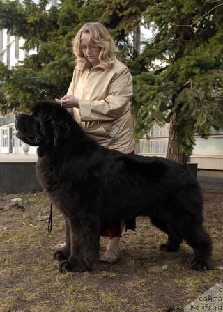 Фотография № 40408