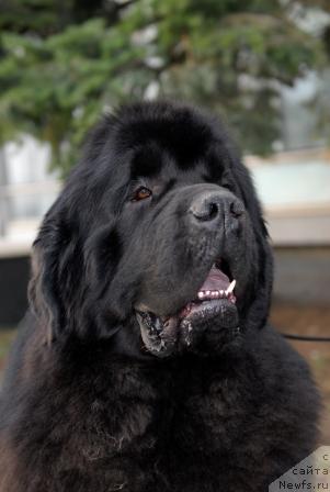 Фотография № 40409