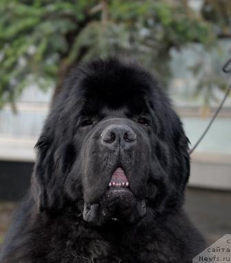 Фотография № 40410