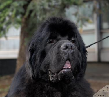 Фотография № 40411