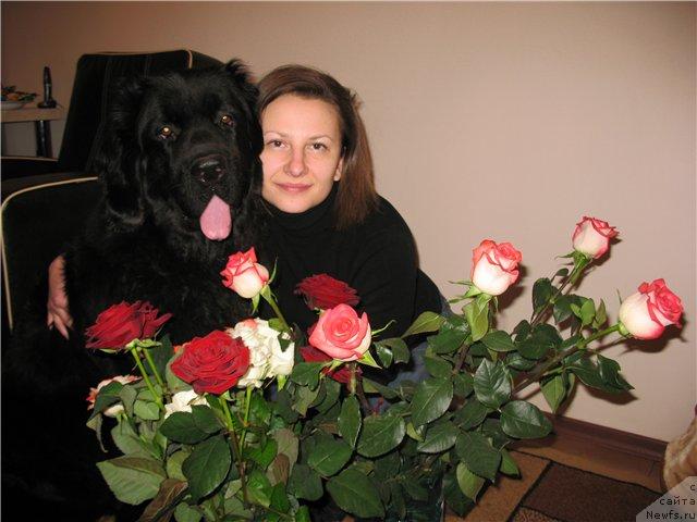 Фото: ньюфаундленд Pamella Almas-Alana