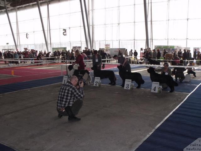 Фотография № 40439