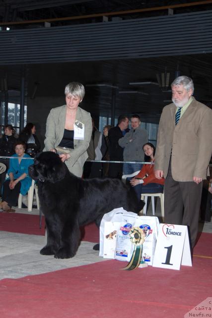 Фотография № 40443