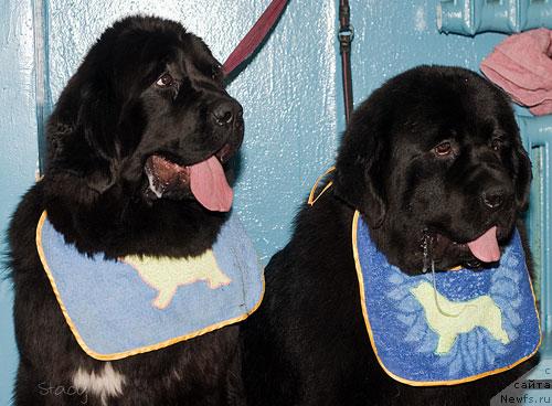 Фотография № 40455