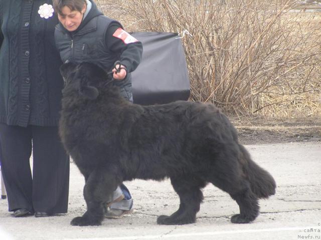 Фотография № 40477