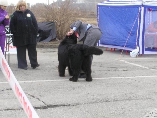 Фотография № 40479