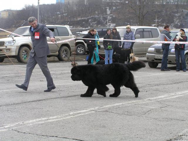 Фотография № 40481