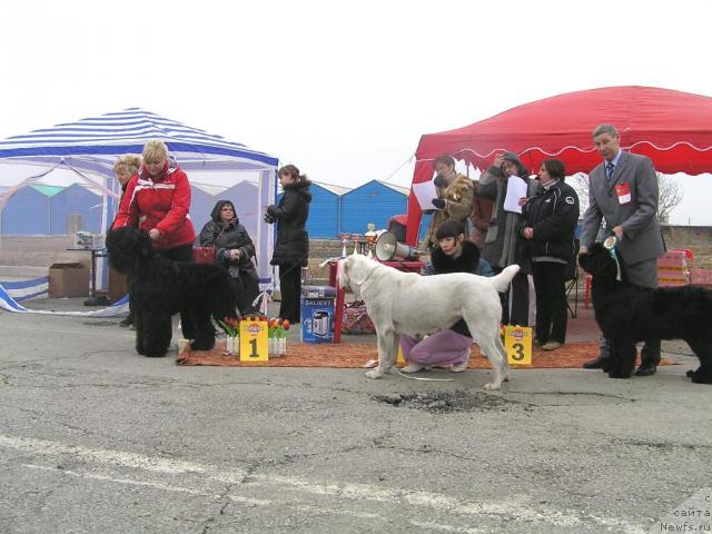 Фотография № 40489