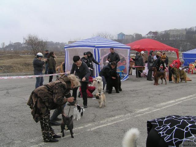 Фотография № 40490