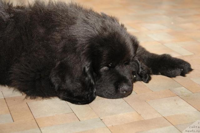 Фотография № 40517