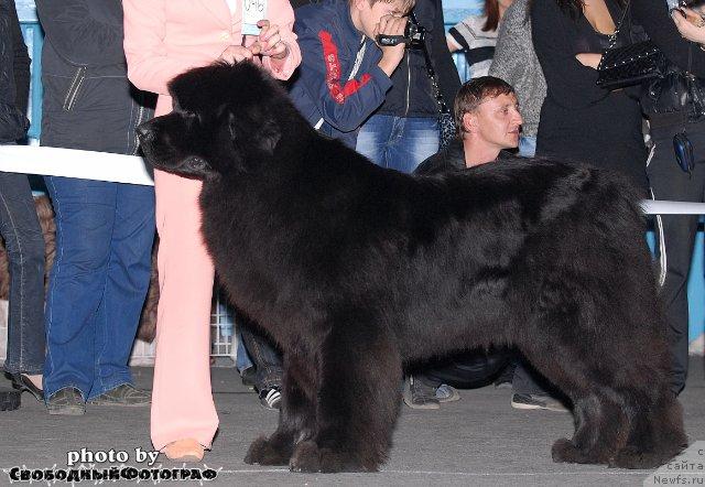 Фотография № 40531