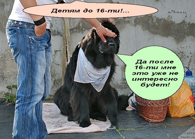 Фотография № 40548