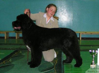 Фотография № 40561