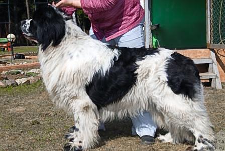 Фотография № 40579